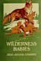 [Gutenberg 55704] • Wilderness Babies